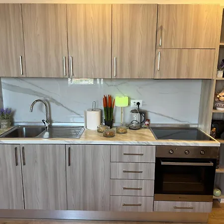 公寓 Center 地拉那